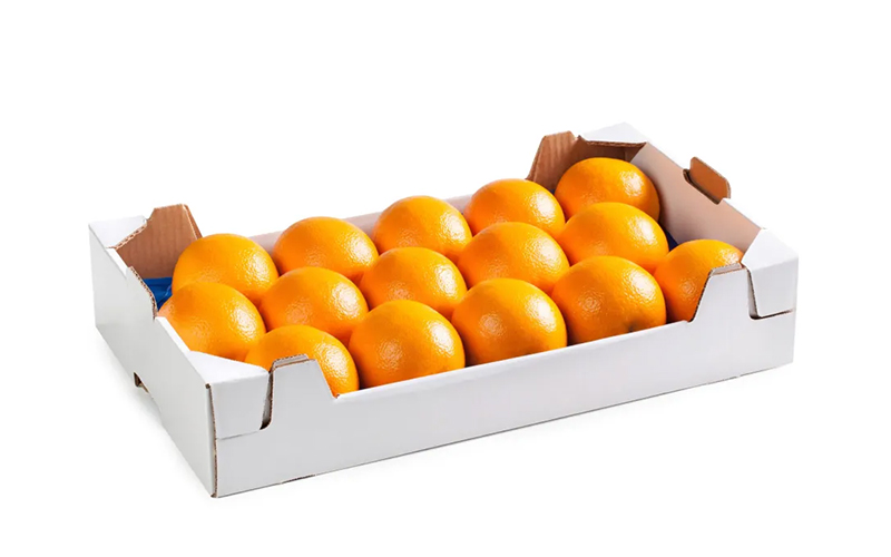Carton Trays (plateaux)